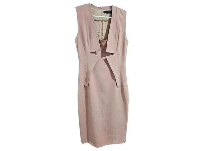 Elie Saab Pink Sheath Dress