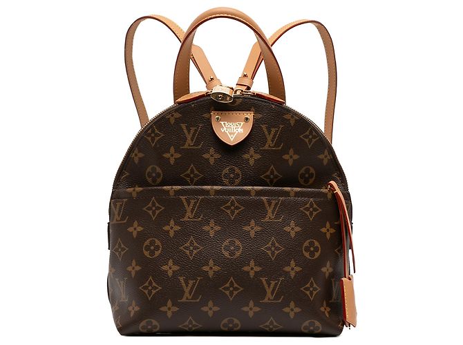 Louis Vuitton Brauner Monogramm Moon Rucksack