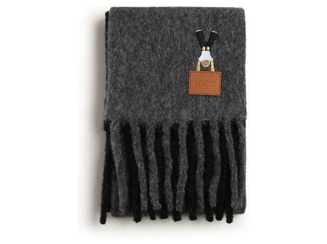 Loewe Sciarpa in misto lana di alpaca Marrone