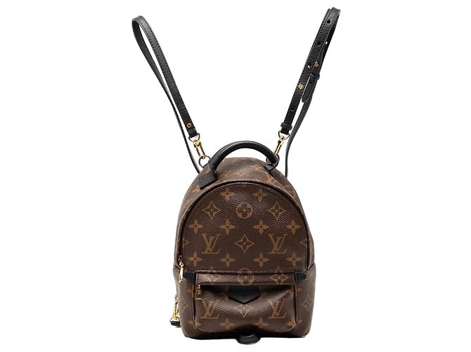 Braune Monogramm Mini Palm Springs Louis Vuitton