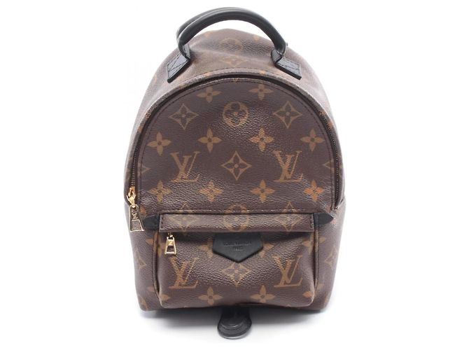 Sac à dos/sac à main Palm Springs Mini de Louis Vuitton Marron Noir