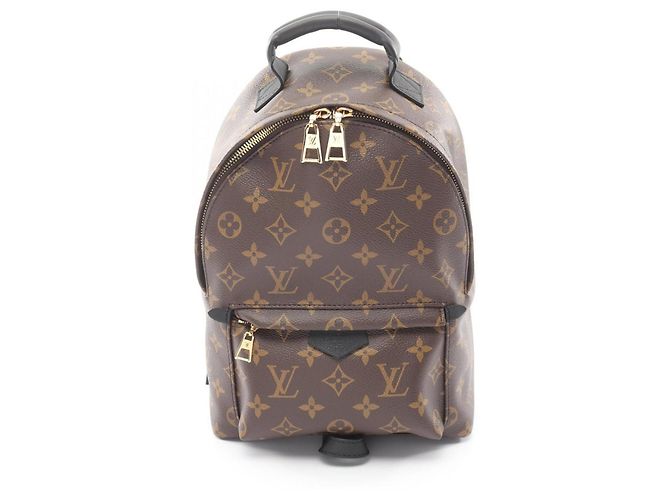 Sac à dos/sac à main Palm Springs PM de Louis Vuitton Marron Noir