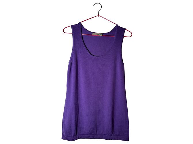Autre Marque Alberto Bini Suéter sem mangas de lã merino roxo