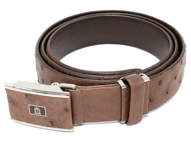 Autre Marque Ostrich Belt Bronze Light brown