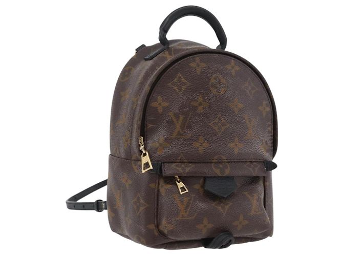 LOUIS VUITTON Monogram Palm Springs MINI Backpack M44873 LV Auth 171013