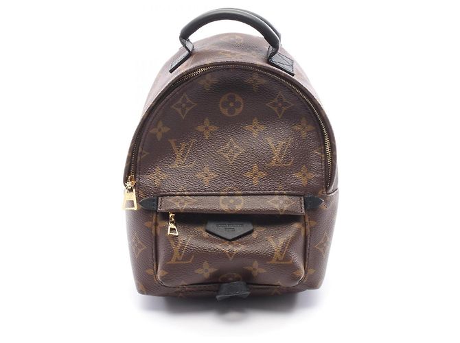 Sac à dos/sac à main Palm Springs Mini de Louis Vuitton Marron Noir