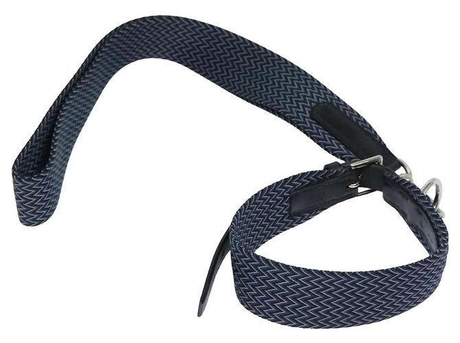 Correa para perro Hermès azul de algodón