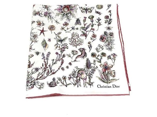 Dior Sciarpa di seta Multicolore 