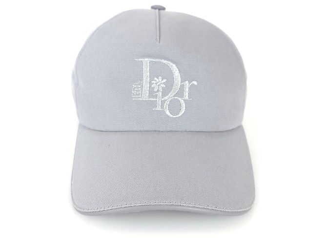 Dior Cappello con logo ricamato Argento 
