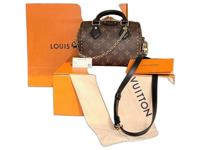 Louis Vuitton Speedy Trunk 20 Monogram Marron Noir Doré