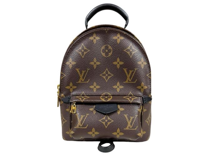 Sac à dos Palm Springs MINI Monogram Louis Vuitton Marron Monogramme