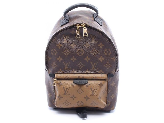 Louis Vuitton Palm Springs Backpack PM Brown Monogram