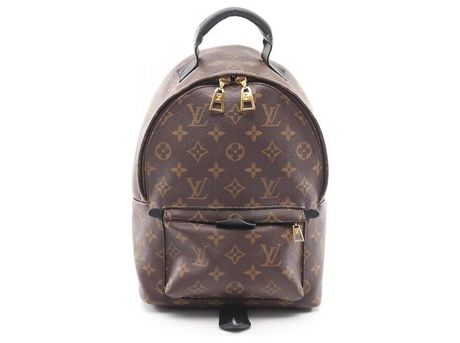 Sac à dos/sac à main Palm Springs PM de Louis Vuitton Marron Noir