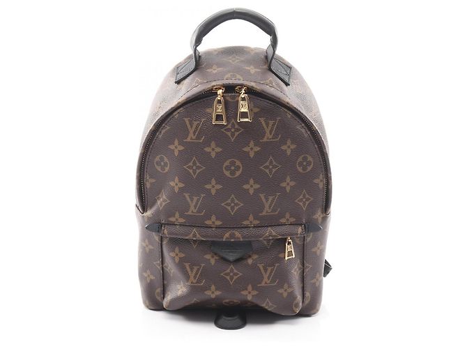 Louis Vuitton Palm Springs PM Rucksack/Handtasche Braun Schwarz
