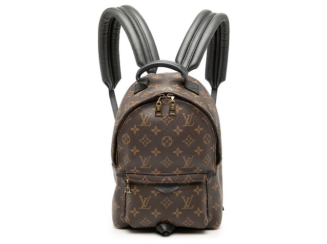 Louis Vuitton Brun Monogram Palm Springs PM Marron