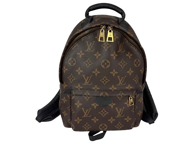 Zaino Palm Springs PM in tela Monogram Louis Vuitton Marrone