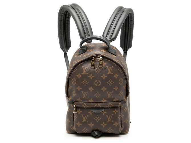 Louis Vuitton Monogram Palm Springs PM Rucksack Braun Schwarz