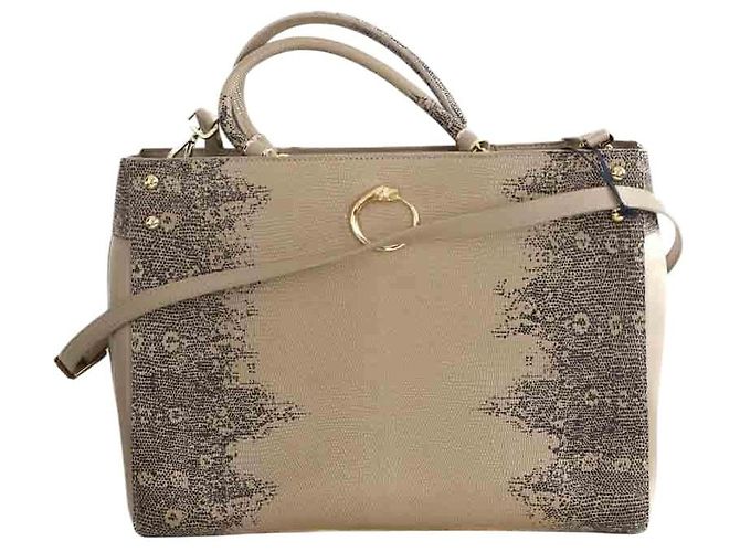 Roberto Cavalli Beiger Cabas