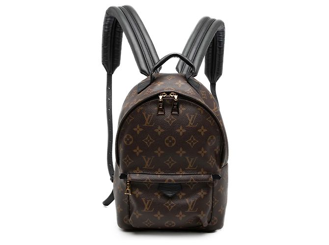 Mochila Palm Springs PM Monograma Marrón Louis Vuitton Castaño