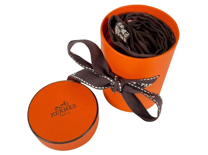 Lenço de seda Twilly Hermès Laranja