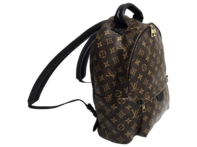 Louis Vuitton Brown Monogram Palm Springs Mm Backpack