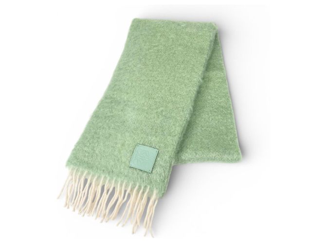 Sciarpa in Mohair e Lana Loewe Verde