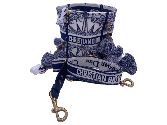 Dior Piccola Borsa a Secchiello Ricamata con Frange a Stella Blu