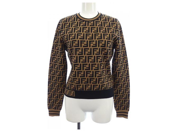 Fendi Strickware Braun Schwarz