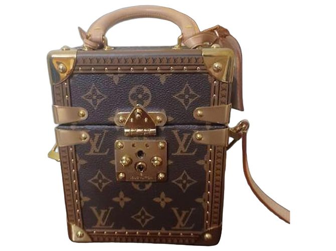Borsa Louis Vuitton Monogram Camera Box Marrone chiaro