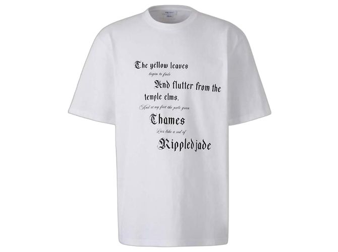 Alexander Mcqueen T-shirt con stampa testuale Bianco 