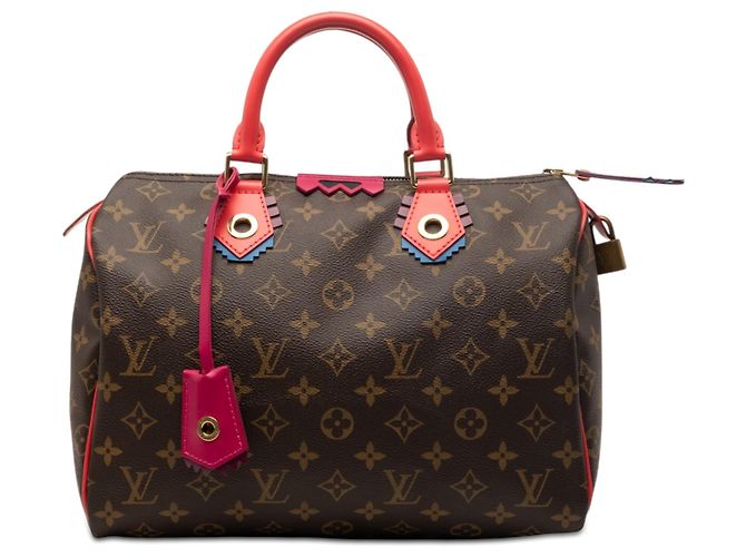 Louis Vuitton Monogram Cabas Speedy 30 Marrone