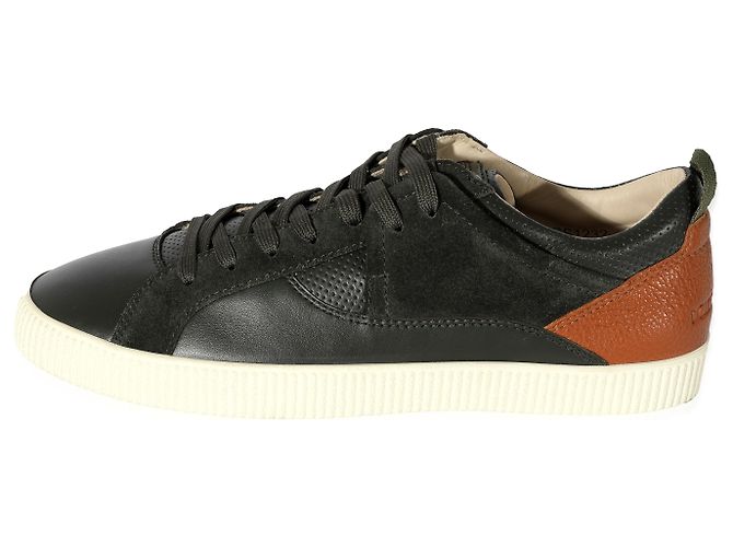 Dolce & Gabbana D&G Leder Low Top Sneaker 'Grün Tan'