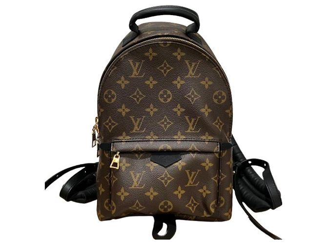 Louis Vuitton Palm Springs Backpack PM M44871 Castaño Negro