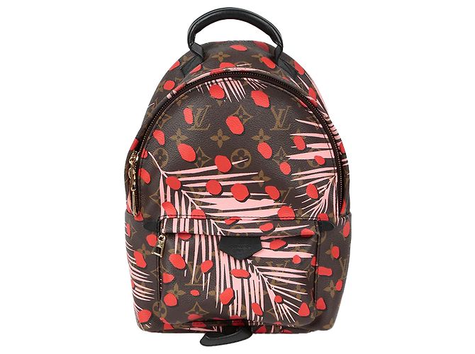 Louis Vuitton Sac à dos Palm Springs Pm Size Multicolore