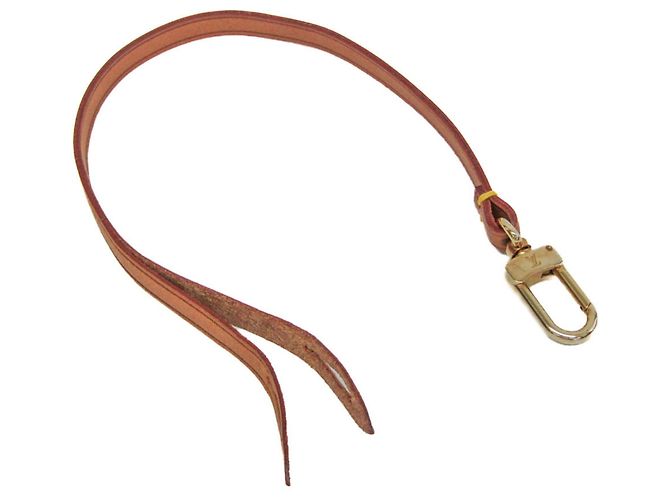 Louis Vuitton Pochette Accessoires Strap Light brown