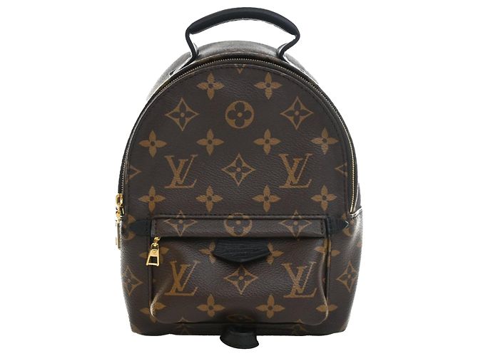 Louis Vuitton Marron Monogram Mini Palm Springs