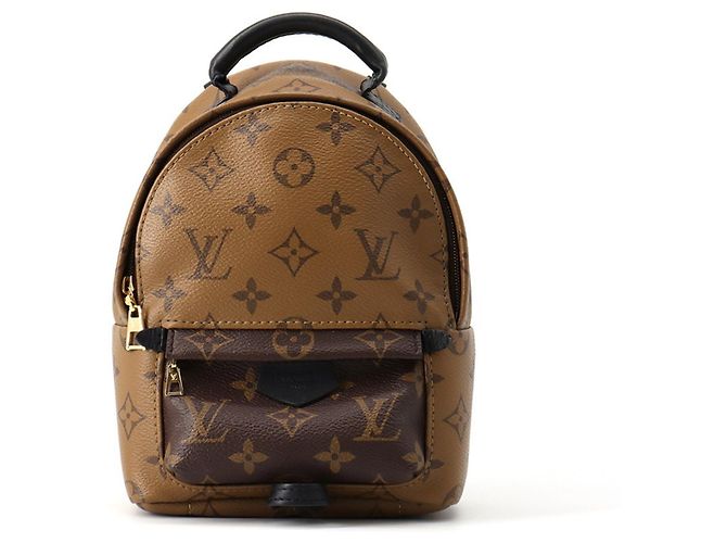 Louis Vuitton Monogram Reverse Palm Springs Mini Backpack Brown Black