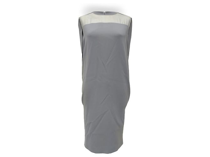 Max Mara Sospiro Cape Shift Kleid aus hellblauem Triacetat Grau