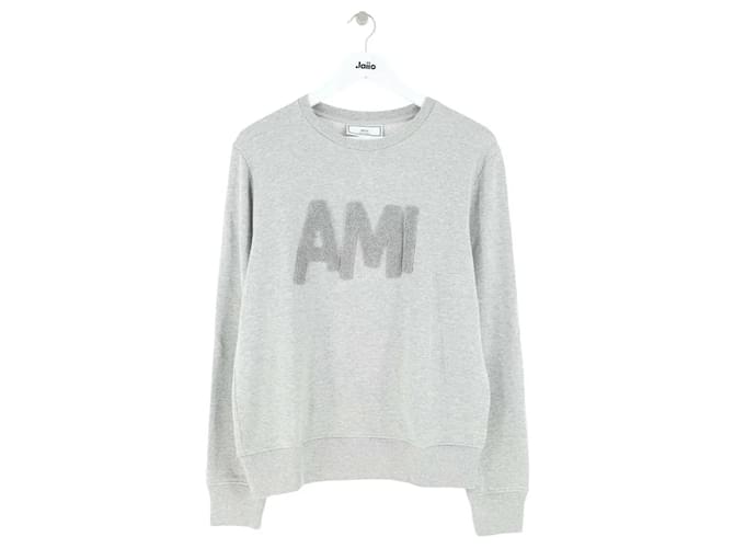 Ami Grauer Pullover 