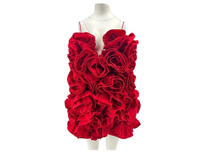 Rotes Kleid von Magda Butrym x H&M