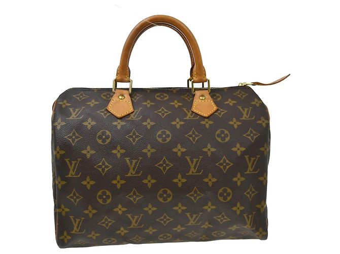 Louis Vuitton Speedy Monogram Canvas 30