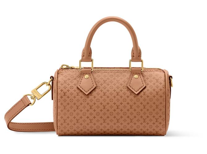 Louis Vuitton Speedy Nano Monogram en cuir Marron