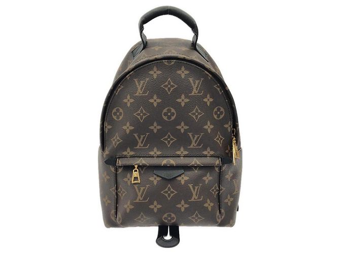 Louis Vuitton Monogram Palm Springs Backpack PM Brown