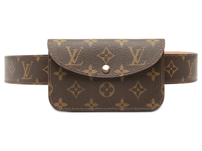 Louis Vuitton Marrone Monogram Ceinture Pochette Solo