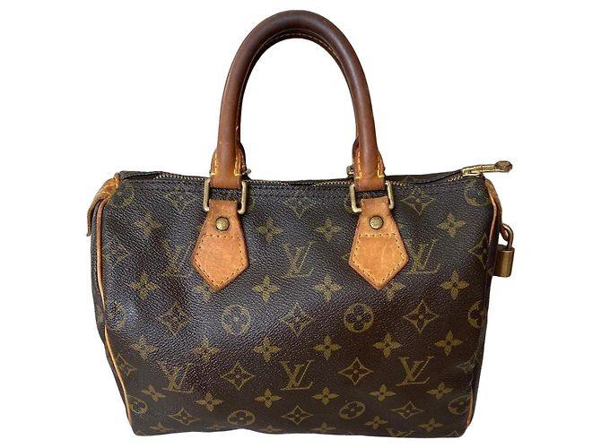 Louis Vuitton Speedy 25 Monogram Marron