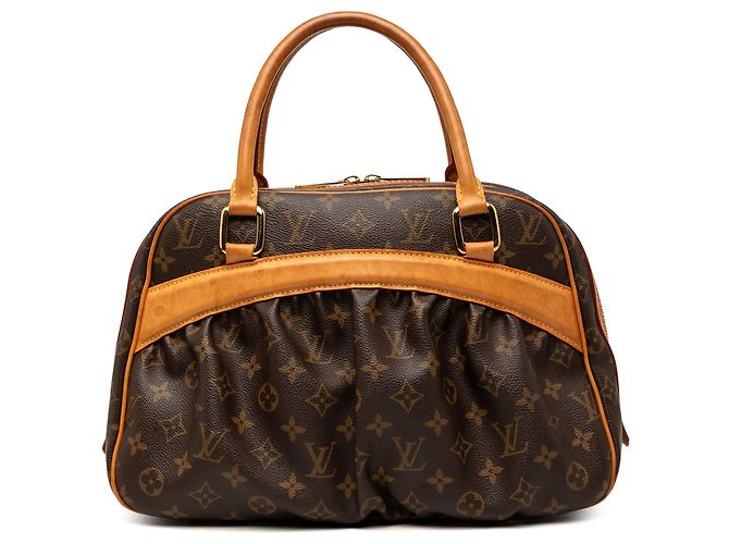 Louis Vuitton Marrone Monogram Mizi
