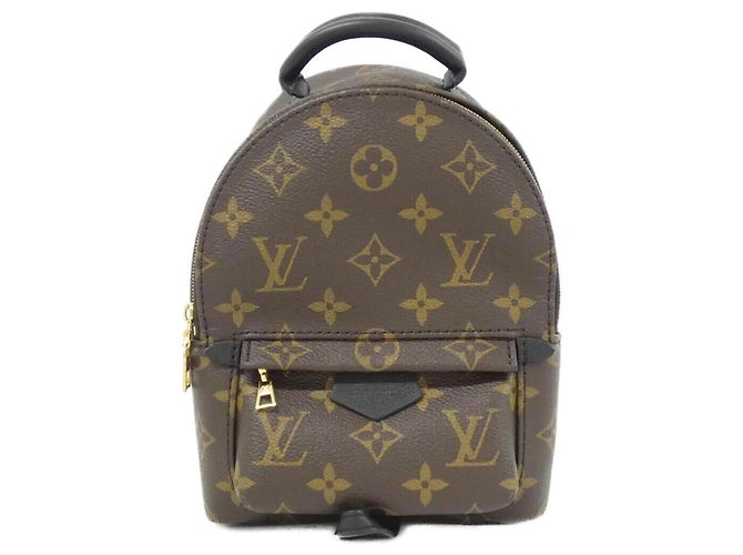 Mochila Louis Vuitton Monogram Palm Springs MINI Marrom