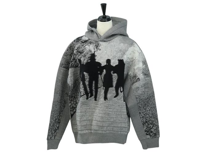 LOUIS VUITTON Wizard of Oz Kapuzenpullover aus Baumwolle Grau LV Auth 182322SM Braun