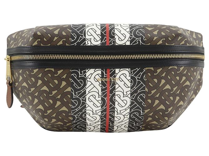 Borsa a tracolla Burberry Brown Monogram Stripe E-Canvas Marrone