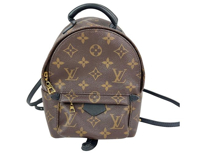 Louis Vuitton Palm Springs Mini Monogram Rucksack Braun